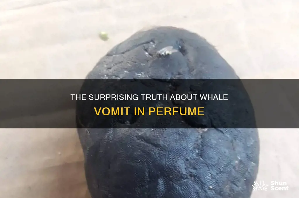 what perfume is made from whale vomit