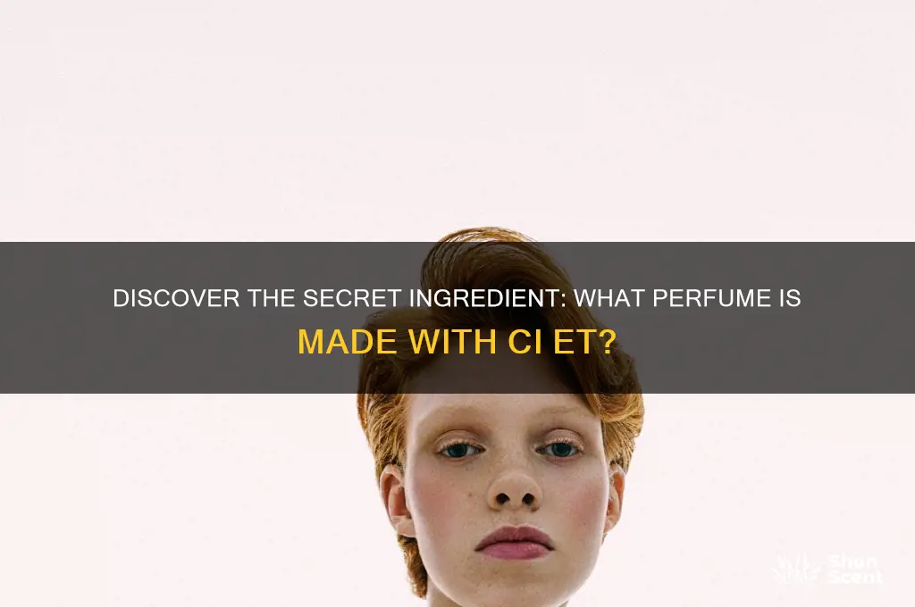what perfume is made with ci et