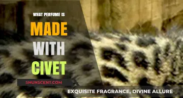Civet in Perfumery: Unveiling the Secret Ingredient in Luxury Scents