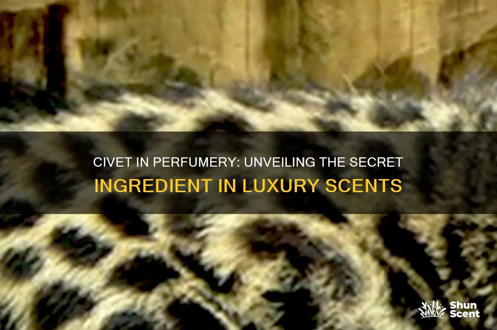 what perfume is made with civet