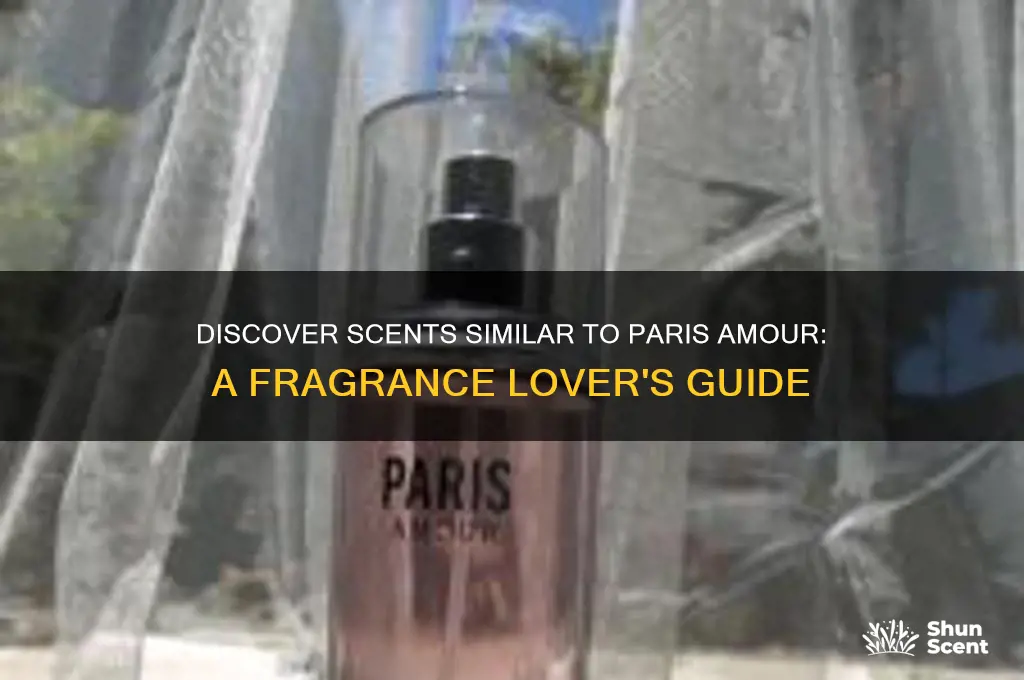 what perfume is most like paris amour