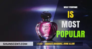 Discover the Most Popular Perfumes: Top Scents Everyone Loves