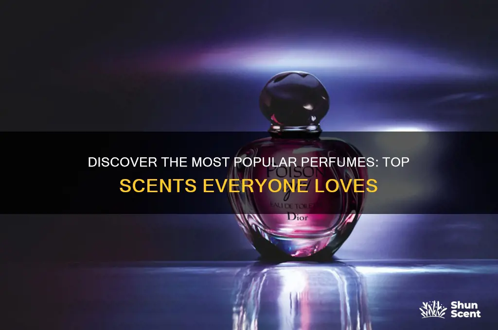 what perfume is most popular