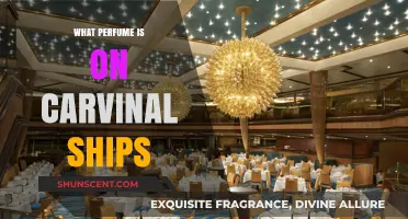 Scent of the Seas: Perfumes Aboard Carnival Cruise Ships