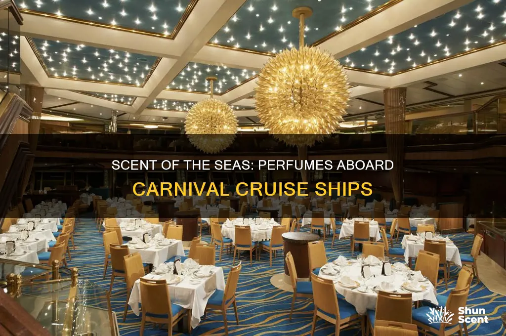 what perfume is on carvinal ships