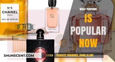 Trending Scents: Discover the Most Popular Perfumes of the Moment