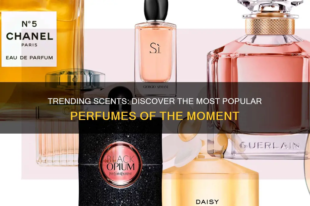 what perfume is popular now