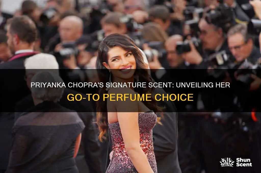 what perfume is priyanka chopra wearing