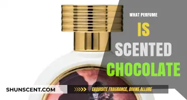 Indulge in the Sweet Scent: Perfumes That Smell Like Chocolate