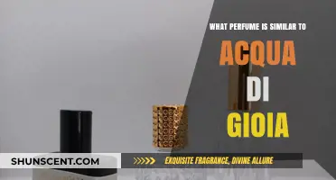 Discover Scents Like Acqua di Gioia: Fresh, Aquatic Fragrance Alternatives