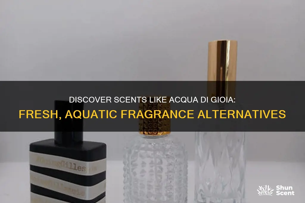 what perfume is similar to acqua di gioia