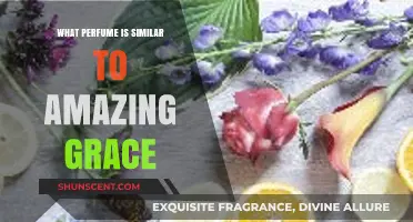 Discover Scents Like Amazing Grace: Top Similar Perfumes to Try