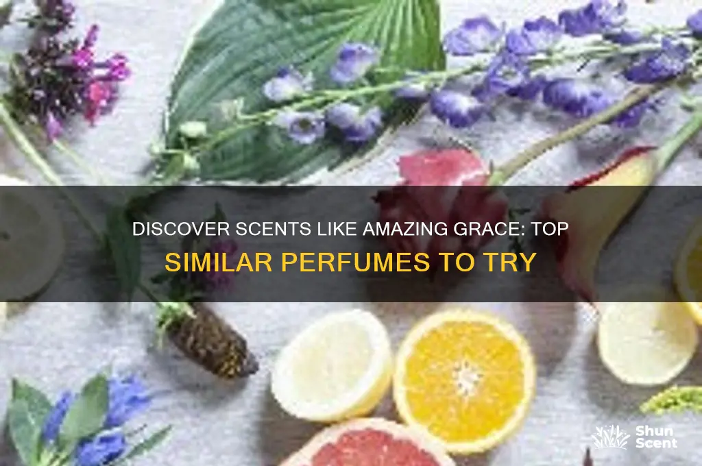 what perfume is similar to amazing grace