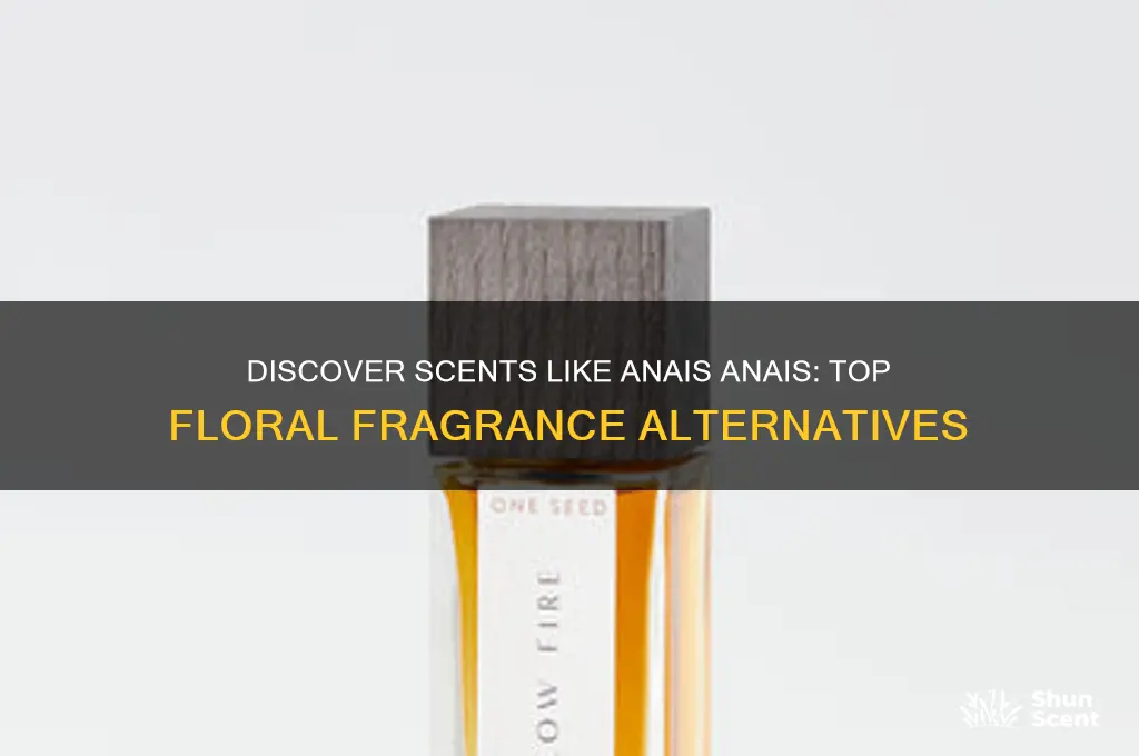 what perfume is similar to anais anais