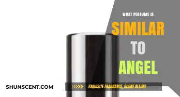 Discover Scents Like Angel: Top Similar Perfumes to Try