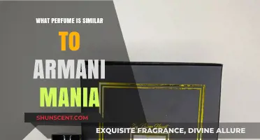 Discover Scents Like Armani Mania: Top Similar Perfumes to Try