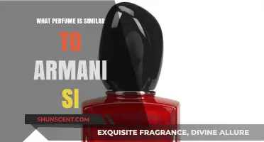 Discover Scents Like Armani Si: Top Similar Perfumes to Try