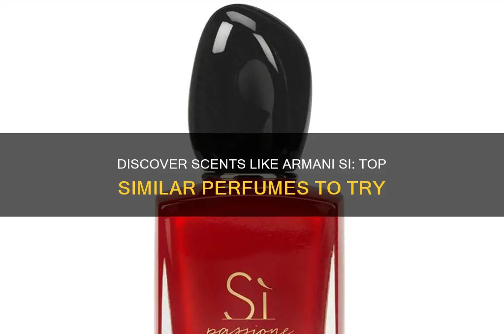 what perfume is similar to armani si