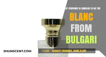 Discover Scents Like Bulgari's Au Thé Blanc: Top Similar Perfumes