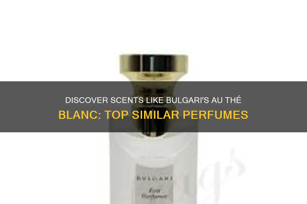 what perfume is similar to au the blanc from bulgari
