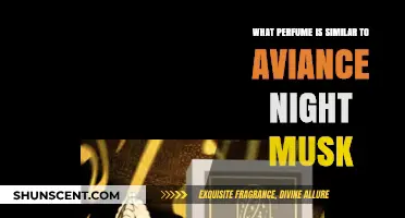 Discover Scents Like Aviance Night Musk: Top Similar Perfumes