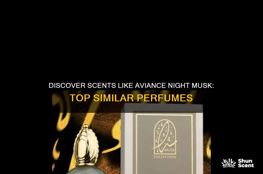 what perfume is similar to aviance night musk