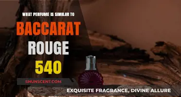 Discovering Perfumes Similar to Baccarat Rouge 540