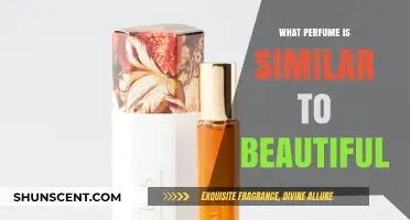 Discover Scents Like Beautiful: Top Similar Perfumes to Try