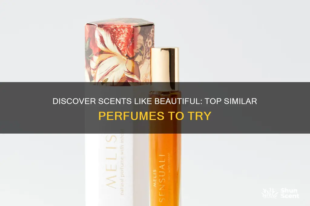 what perfume is similar to beautiful