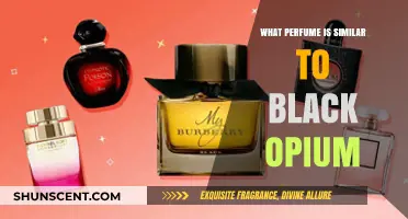 Discover Scents Like Black Opium: Top Similar Perfumes to Try