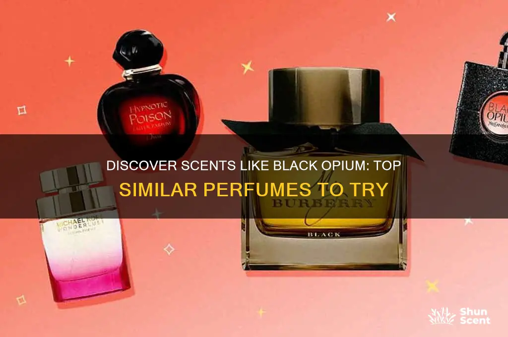 what perfume is similar to black opium