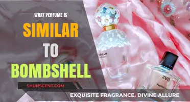 Discover Scents Like Bombshell: Top Similar Perfumes to Try