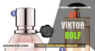 Discover Sweet Scents: Perfumes Similar to Viktor & Rolf's Bon Bon