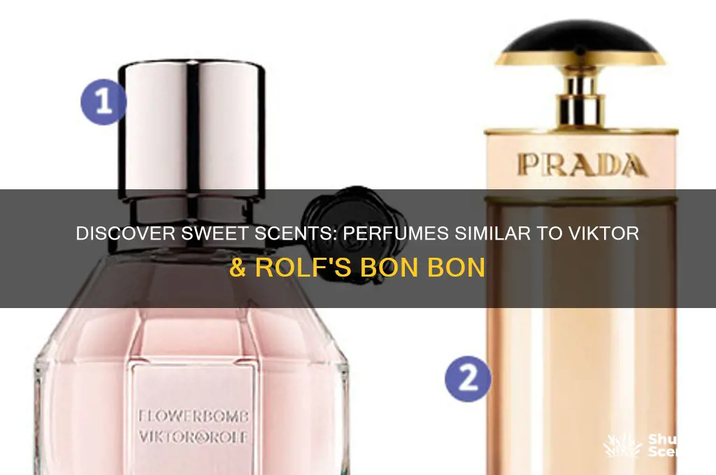 what perfume is similar to bon bon by viktor rolf
