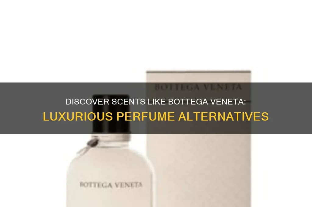 what perfume is similar to bottega veneta
