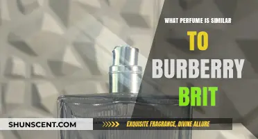 Discover Scents Like Burberry Brit: Top Similar Perfumes to Try