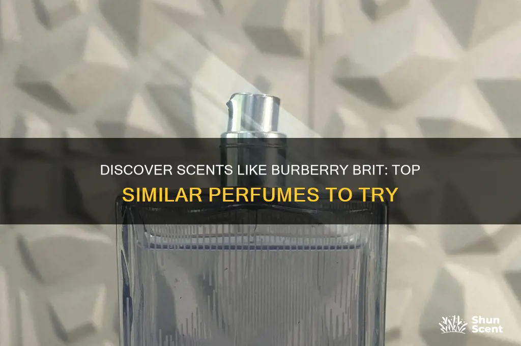 what perfume is similar to burberry brit