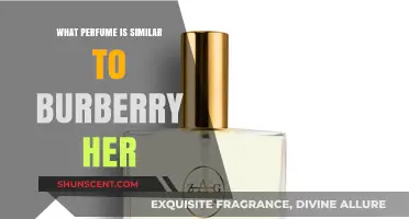 Discover Scents Like Burberry Her: Top Similar Perfumes to Try