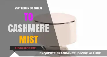Discover Scents Like Cashmere Mist: Top Similar Perfumes to Try