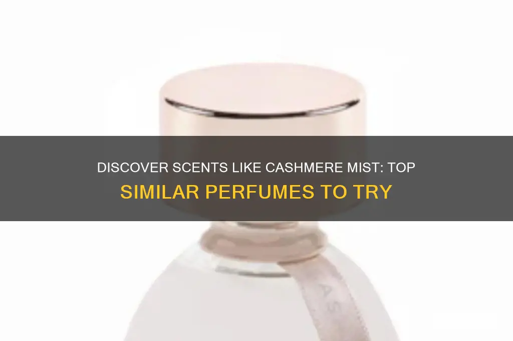 what perfume is similar to cashmere mist