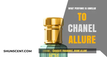 Discover Scents Like Chanel Allure: Top Similar Perfumes to Try