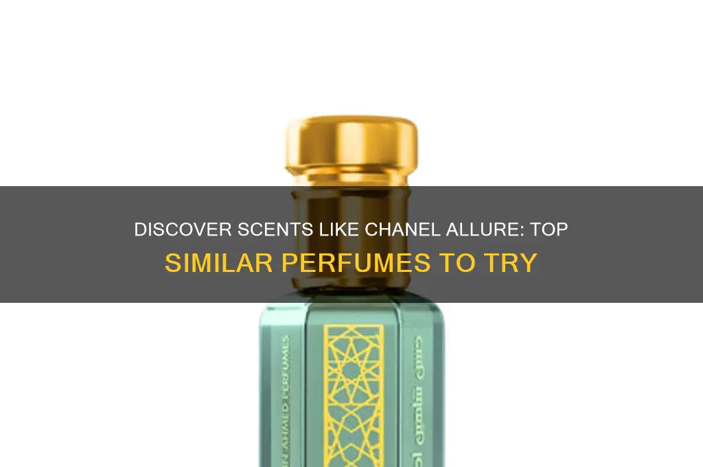 what perfume is similar to chanel allure