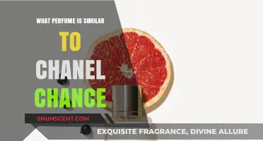 Discover Scents Like Chanel Chance: Top Similar Perfumes to Try