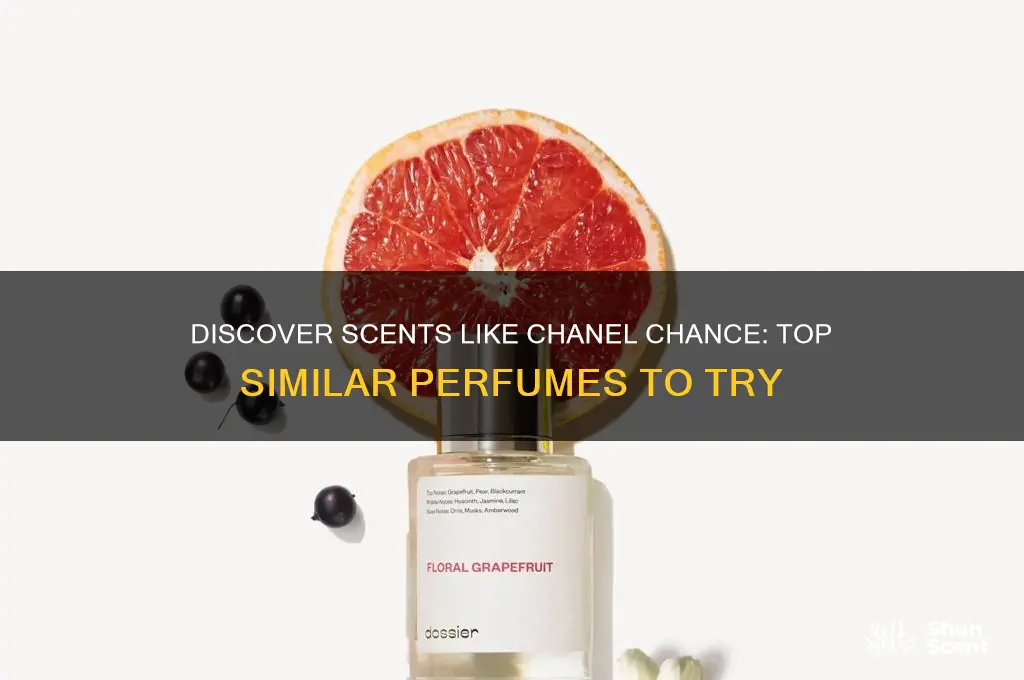 what perfume is similar to chanel chance
