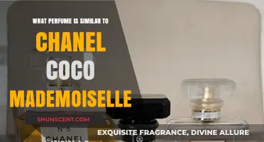 Discover Scents Like Chanel Coco Mademoiselle: Top Similar Perfumes