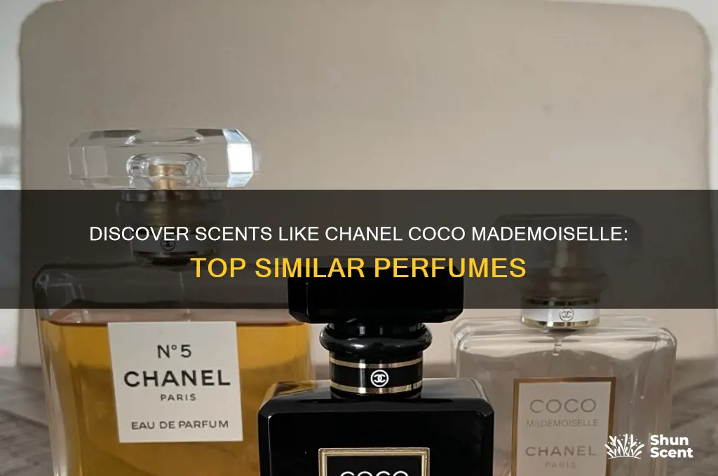 what perfume is similar to chanel coco mademoiselle