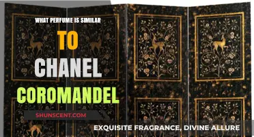 Discover Scents Like Chanel Coromandel: Luxurious Alternatives to Try