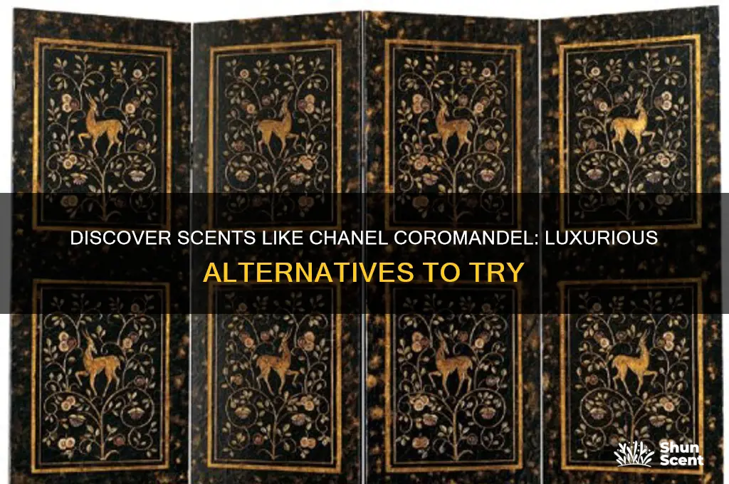 what perfume is similar to chanel coromandel