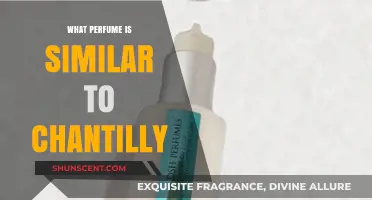 Discover Scents Like Chantilly: Top Similar Perfumes to Try