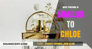 Discover Scents Like Chloe: Top Similar Perfumes to Try Now